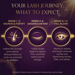 Caramola Lash Serum